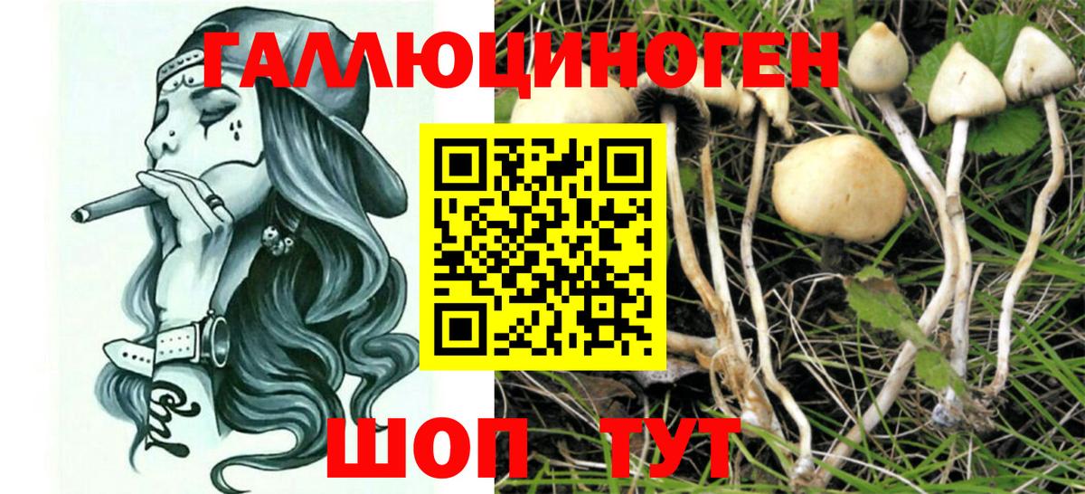 Галлюциногенные грибы GOLDEN TEACHER Коряжма